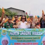panen jagung1 Panen Jagung Hibrida Langkah Pasti Polsek Klari Dukung Swasembada Pangan