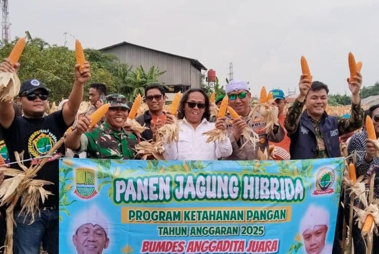 panen jagung1 Panen Jagung Hibrida Langkah Pasti Polsek Klari Dukung Swasembada Pangan