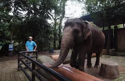 IMG 20260112 WA0053 Nasib Kebun Binatang Bandung Dibahas, Libatkan Provinsi dan Pusat