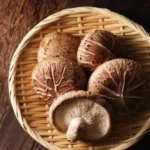 Jamur shiitake belakangan ini menjadi perbincangan bukan hanya di kalangan peneliti, tetapi juga di dunia investasi.