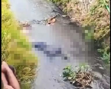 Geger di Cijambe: Buruh Tani Tewas Mengambang di Aliran Air Sedalam Satu Meter 1 Posisi korban saat ditemukan dalam kondisi telungkup di aliran sungai sedalam satu meter. (Prima Meidiandi/Telusurbisnis)