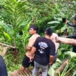 Petugas dibantu warga melakukan evakuasi penumpang mobil travel yang terjun ke jurang di Kampung Ciawitali, Sukabumi. (Prima Meidiandi/Telusurbisnis)