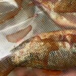 mbg di sukabumi Viral Menu MBG di SMPN 1 Sukabumi, Siswa Terima Ikan Nila Mentah Masih Berdarah