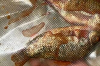 mbg di sukabumi Viral Menu MBG di SMPN 1 Sukabumi, Siswa Terima Ikan Nila Mentah Masih Berdarah