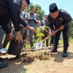 Ketua DPRD Budi Azhar Mutawali secara seremoni menanam bibit pohon buah di halaman komplek DPRD bersama bupati Sukabumi Asep Japar. (Prima Arno Meidiandi/Telusurbisnis)