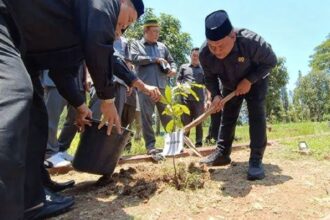 Ketua DPRD Budi Azhar Mutawali secara seremoni menanam bibit pohon buah di halaman komplek DPRD bersama bupati Sukabumi Asep Japar. (Prima Arno Meidiandi/Telusurbisnis)
