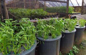 IMG 20260407 WA0012 Beranda