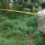 Petugas memasang polis line di area tambang emas liar di Sukabumi. (Prima Meidiandi/Telusurbisnis)