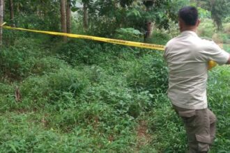 Petugas memasang polis line di area tambang emas liar di Sukabumi. (Prima Meidiandi/Telusurbisnis)