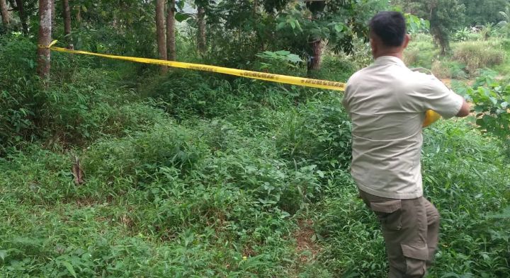 Petugas memasang polis line di area tambang emas liar di Sukabumi. (Prima Meidiandi/Telusurbisnis)
