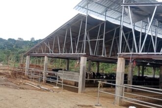 Perwakilan warga Desa Purwasari, Kecamatan Cicurug, Kabupaten Sukabumi, mendatangi kantor kecamatan setempat pada Kamis (9/4/2026)