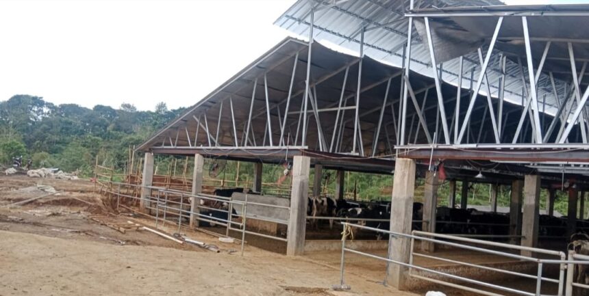 Petisi Warga Cicurug Sukabumi Tolak Kandang Sapi PT Susu Nusantara Berjaya 1 Perwakilan warga Desa Purwasari, Kecamatan Cicurug, Kabupaten Sukabumi, mendatangi kantor kecamatan setempat pada Kamis (9/4/2026)