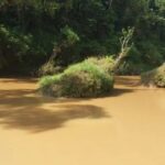 Seorang warga bernama Ade Rustandi (57) dilaporkan hilang sejak Minggu (5/4/2026) setelah berpamitan hendak memancing ke muara Curug Sodong atau Sungai Ciseureuh di Desa Cibodas, Kecamatan Cibitung, Kabupaten Sukabumi.