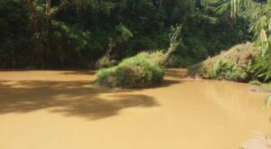 Seorang warga bernama Ade Rustandi (57) dilaporkan hilang sejak Minggu (5/4/2026) setelah berpamitan hendak memancing ke muara Curug Sodong atau Sungai Ciseureuh di Desa Cibodas, Kecamatan Cibitung, Kabupaten Sukabumi.