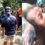 Seorang pria lanjut usia bernama Maman (72) ditemukan selamat setelah enam hari hilang secara misterius di Leuweung Kisodra