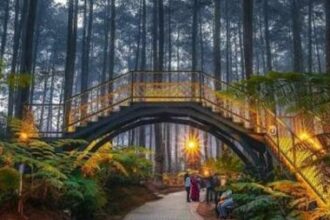Orchid Forest Lembang, Bandung, destinasi alam yang menawarkan outbond paling menantang. (Ist)