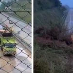Proses evakuasi material longsor yang menutup sebagian jalur tol bocimi kearah Jakarta. (Prima Meidiandi/Telusurbisnis)