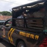 IMG 20260512 WA0031 Mencurigakan! 5 Pelajar Cowok dan 7 Pelajar Putri Barengan Bolos Sekolah di Bangunan Terbengkalai
