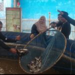 Pokdakan Desa Sumurgede Karawang panen 1,2 ton ikan nila. (Mustafid/Telusurbisnis)